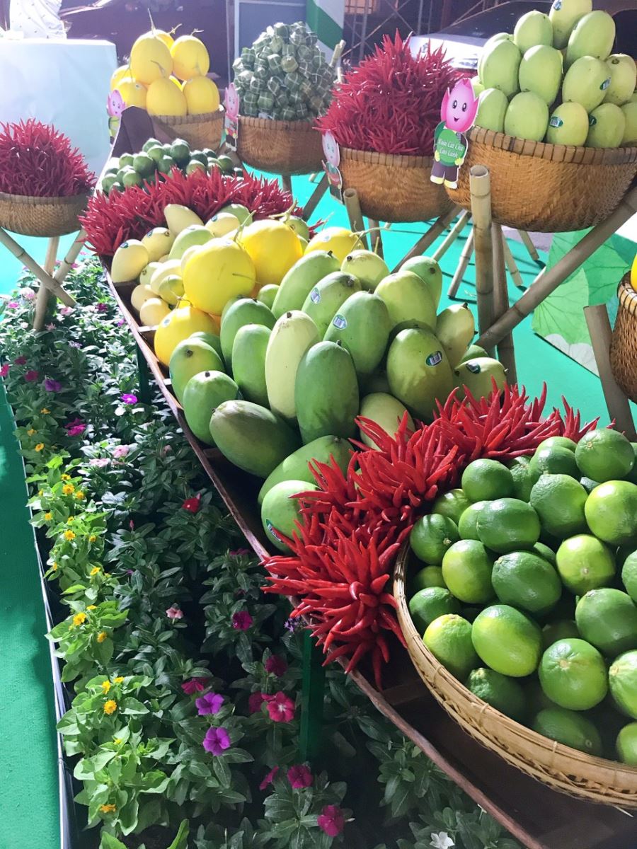 nông-sản-chất-lượng-cao-–-western-farm-đi-đầu-trong-việc-xuất-khẩu-nông-sản-ra-thị-trường-quốc-tế